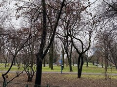 Parcul Circului - Lacul Tei - 15 min Metrou Stefan cel Mare
